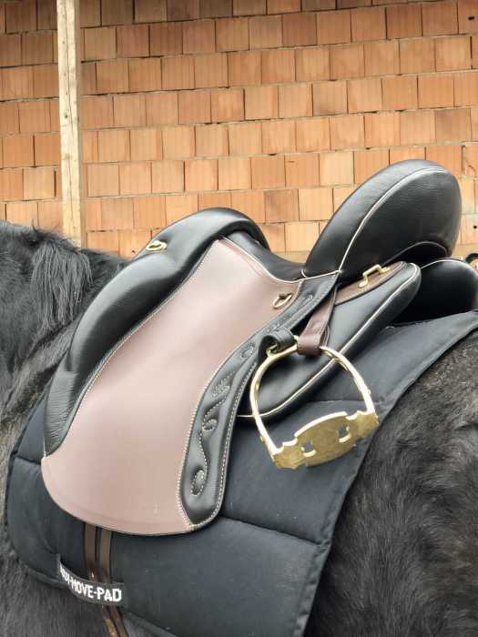 Appaloosa schmerzfrei reiten: Sattel aus der Maßkonfektion für Ihr Pferd