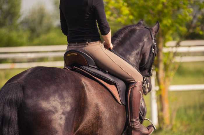 Vom Rennen ins Gelände: ein Sattel für Ihr Pferd