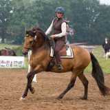 Susanne Schnell auf Tamino (Working Equitation)