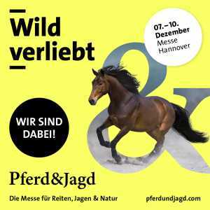 Iberosattel® komt naar Hannover voor Pferd & Jagd